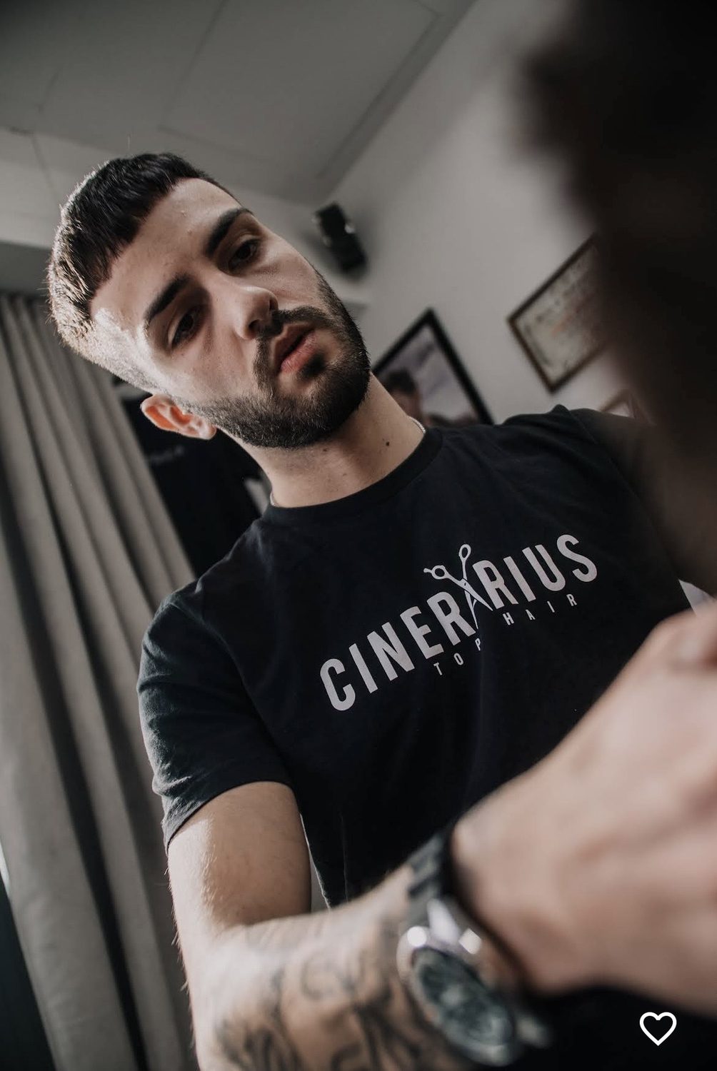 Cinerarius — foto 13