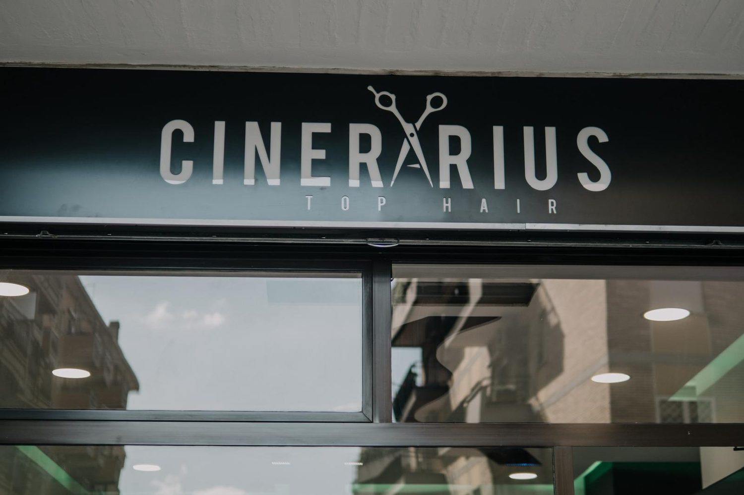 Cinerarius — foto 17